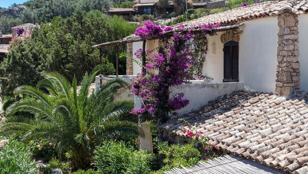 A traditional stone building with a tiled roof, surrounded by lush greenery and flowering plants. - La Jacia Hotel & Resort (Arzachena)