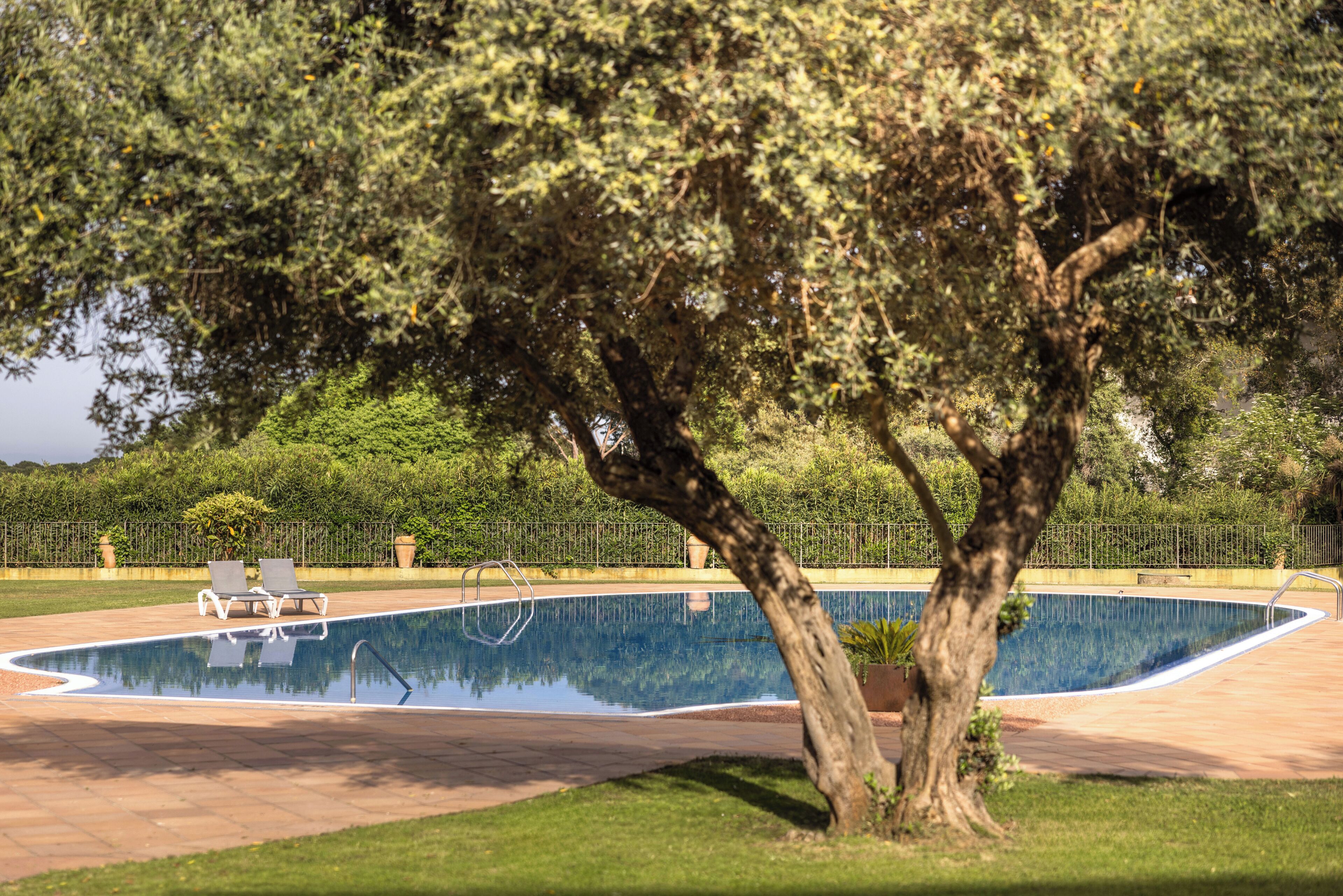 Une piscine entourée d’une clôture et d’arbres, avec des chaises longues à proximité.