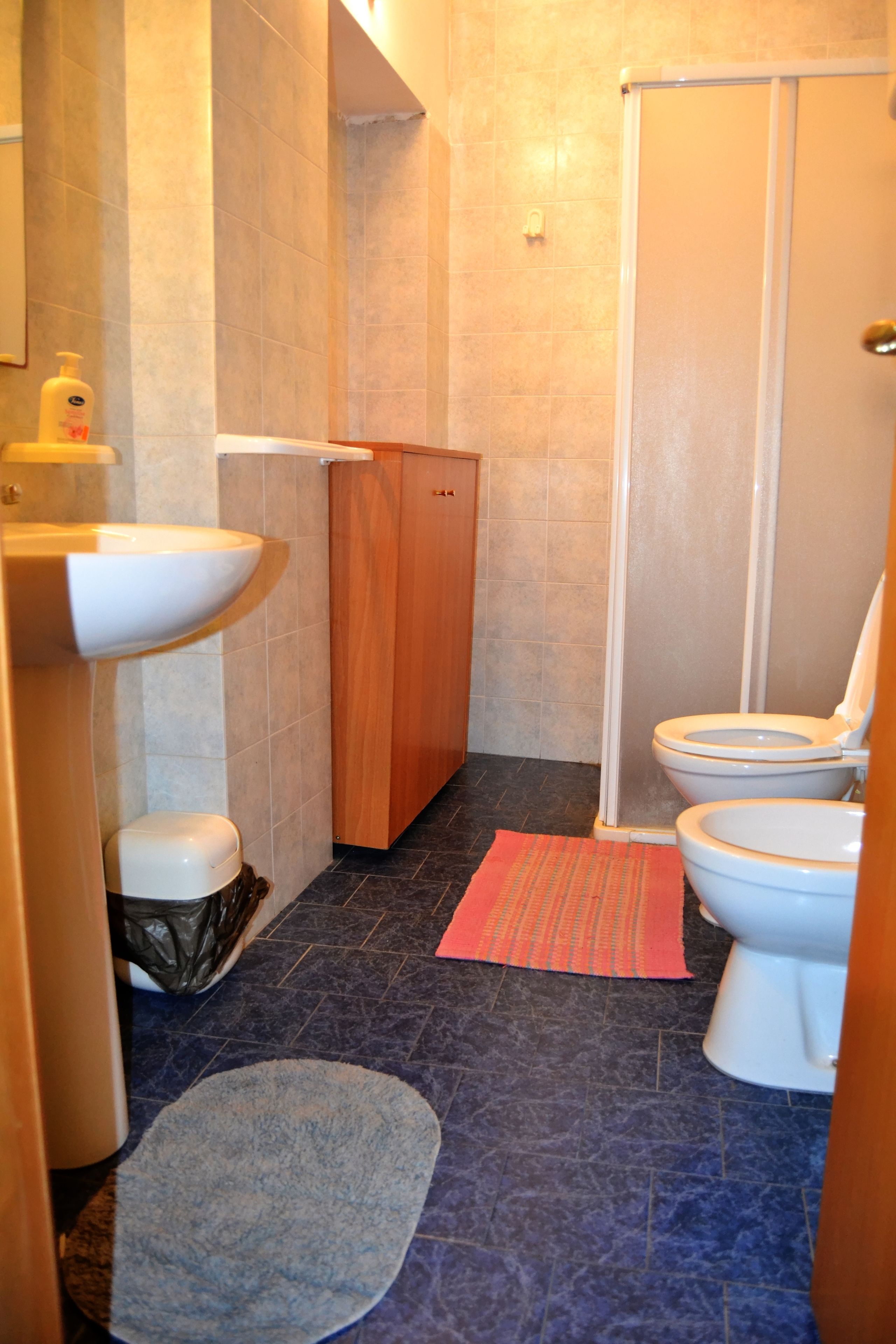 Une salle de bain avec un lavabo, des toilettes et une douche.