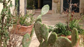 A courtyard with potted cacti and various plants, a stone building with a green door, and a tiled floor. - La Corte Bed & Breakfast (Lecce)