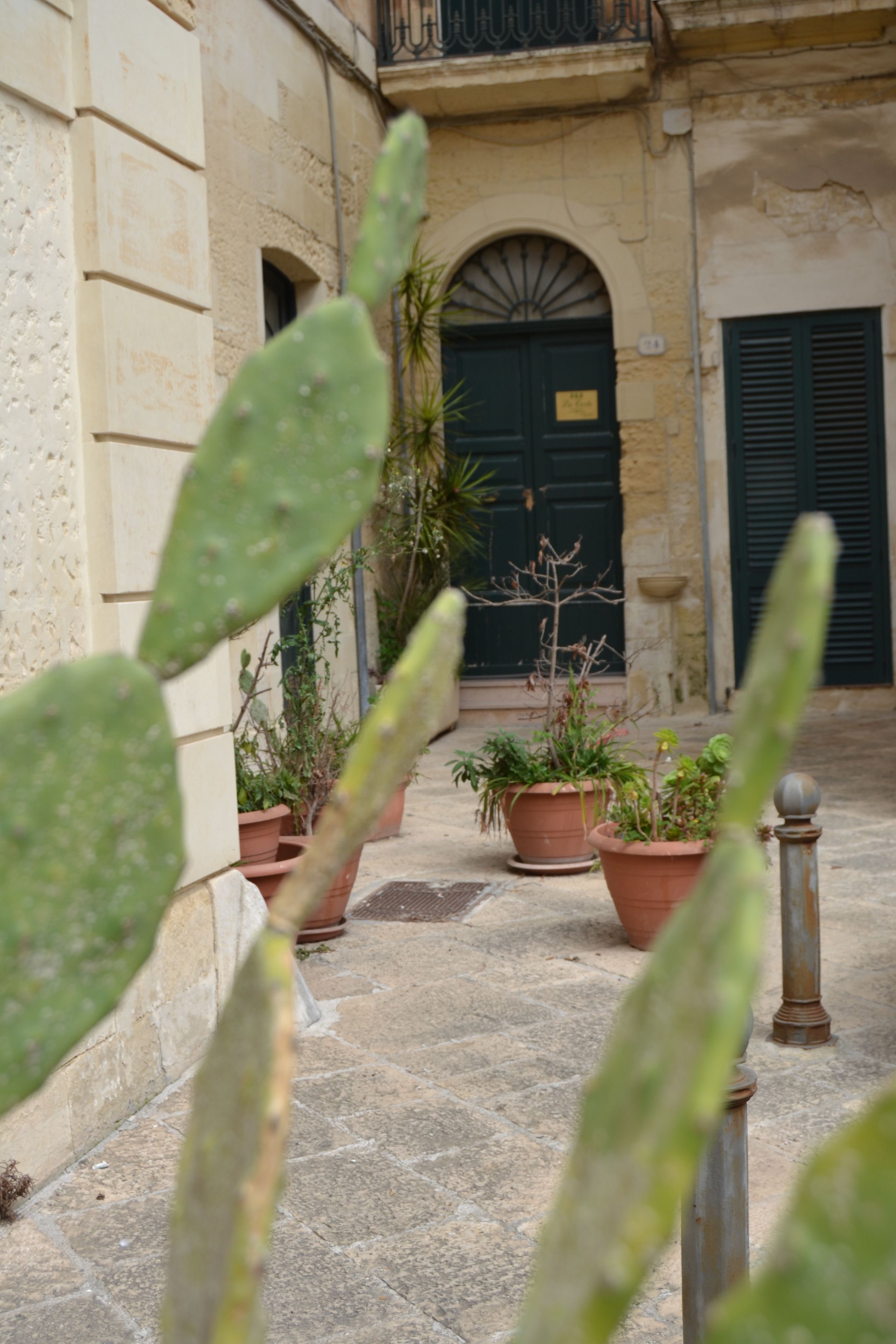 A courtyard with potted plants and a building with a green door.