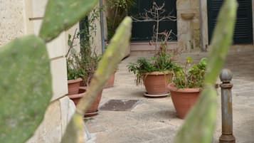 A courtyard with potted plants and a building with a green door.