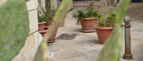 Un patio con plantas en macetas y un edificio con puerta verde.