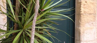 La Corte Bed & Breakfast