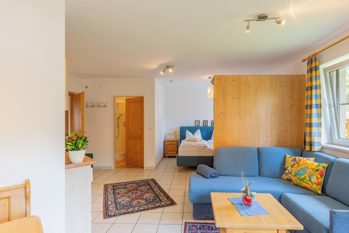 Studio, 1 soverom, balkong, fjellutsikt (Included: Cleaning Fee 70 EUR) | Allergitestet sengetøy, senger med overmadrass og strykejern/-brett