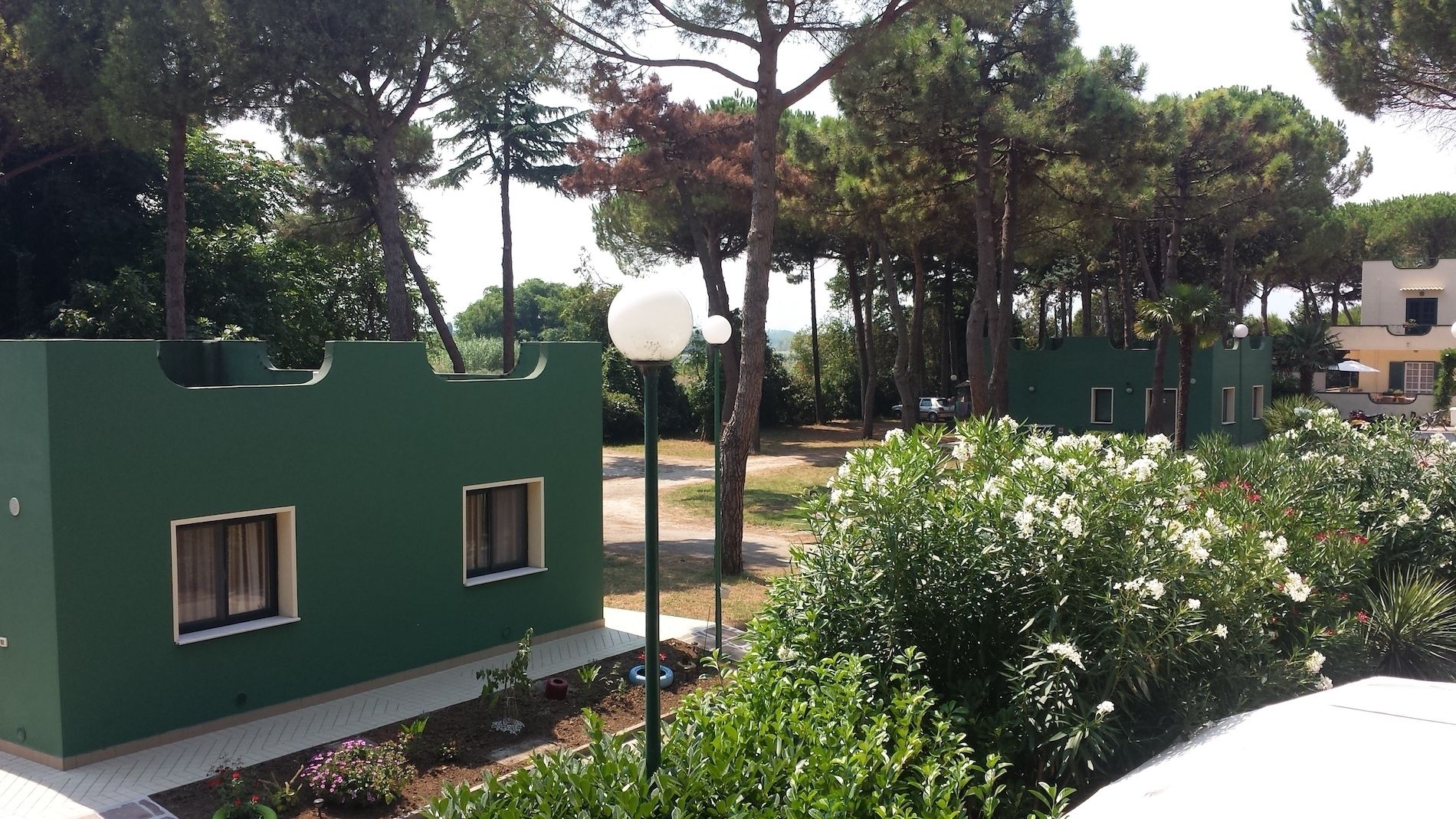 A green building with two windows and a lamp post in a garden area with trees and white flowers.