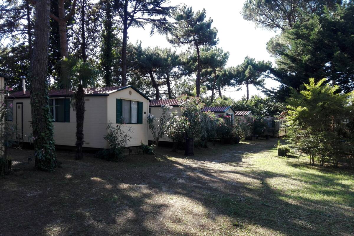 Una hilera de casas móviles con césped y árboles.
