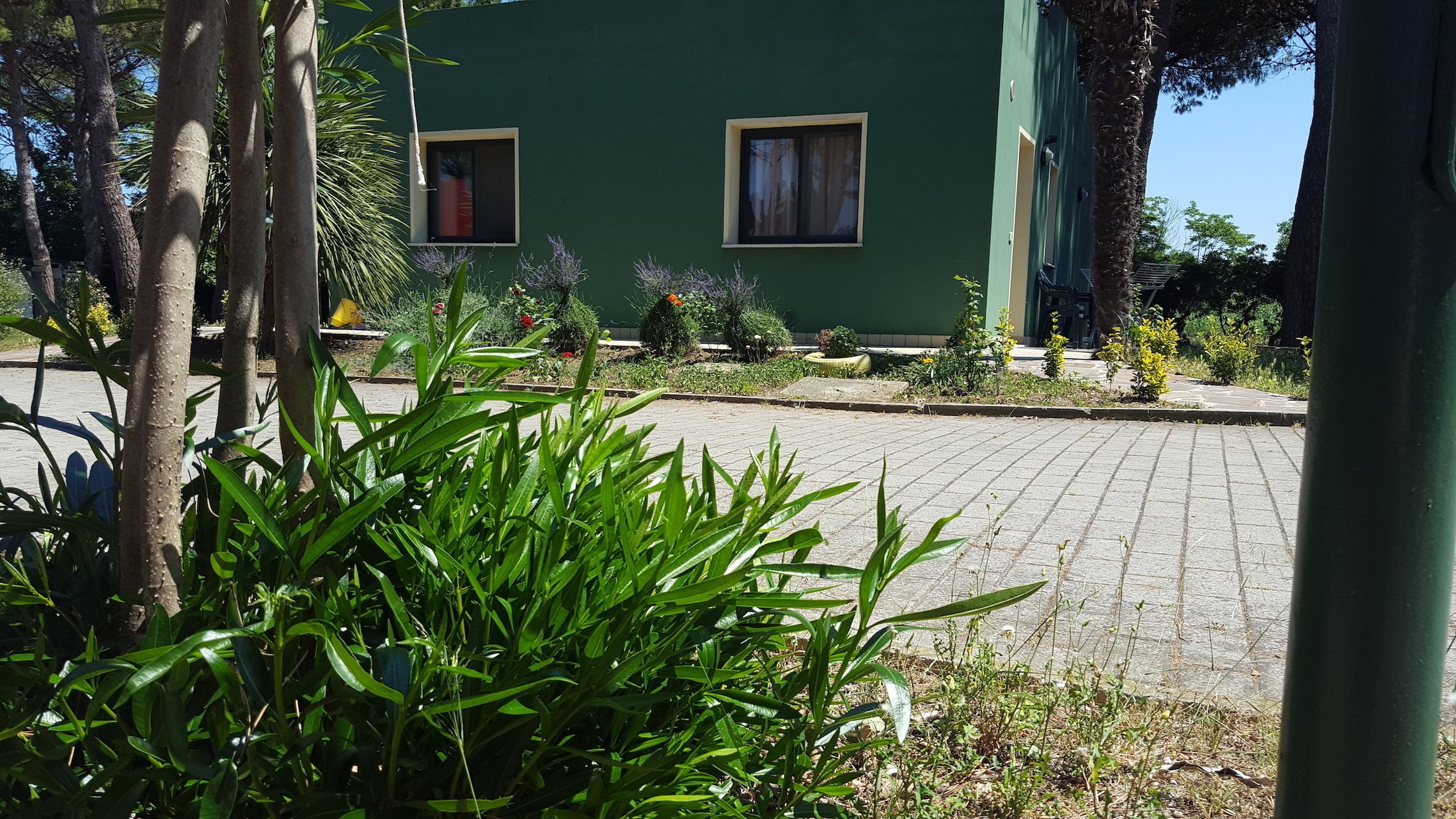 Un bâtiment vert doté de deux fenêtres, entouré de verdure et bordé d’une zone pavée.
