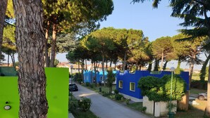 Un carrer residencial amb una casa blava, un arbre i un cotxe estacionat.