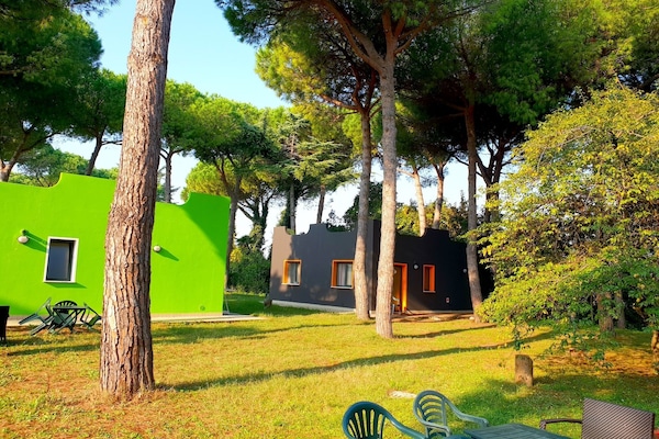 Apartment, 1 Bedroom, Patio | In-room safe, soundproofing, free cribs/infant beds, free WiFi