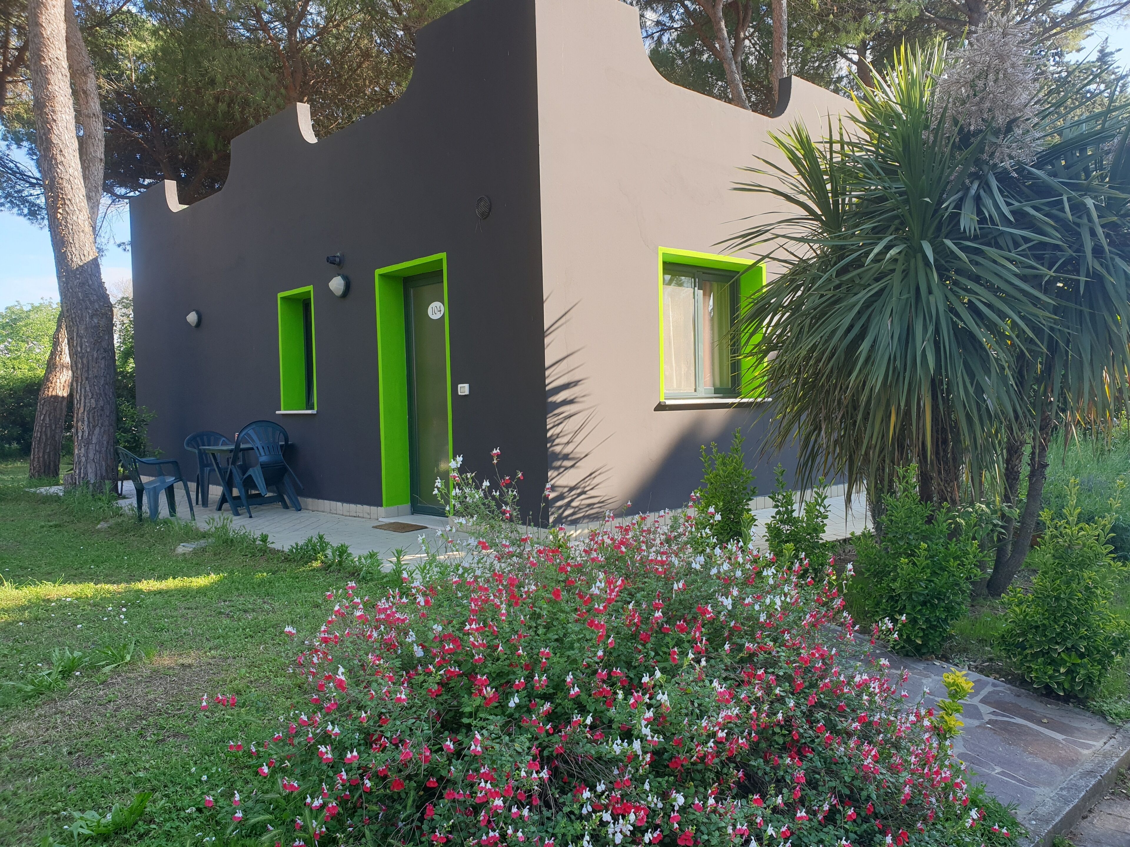 A modern building with a green door and window frames, a patio with chairs, and a garden with red and white flowers.
