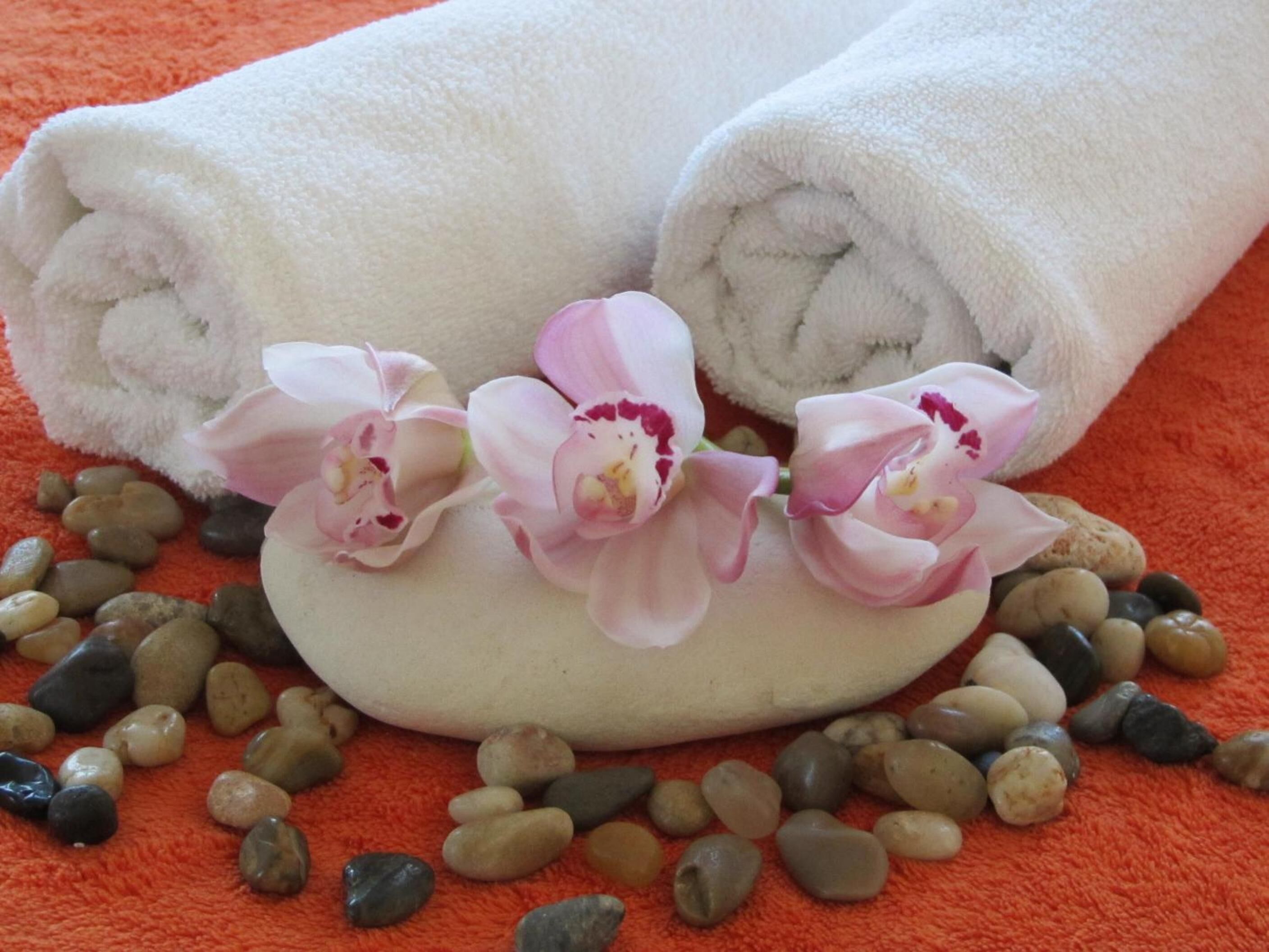 Massage/treatment rooms