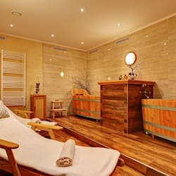 Phòng trị liệu đôi, bồn tắm thủy lực, trị liệu toàn thân