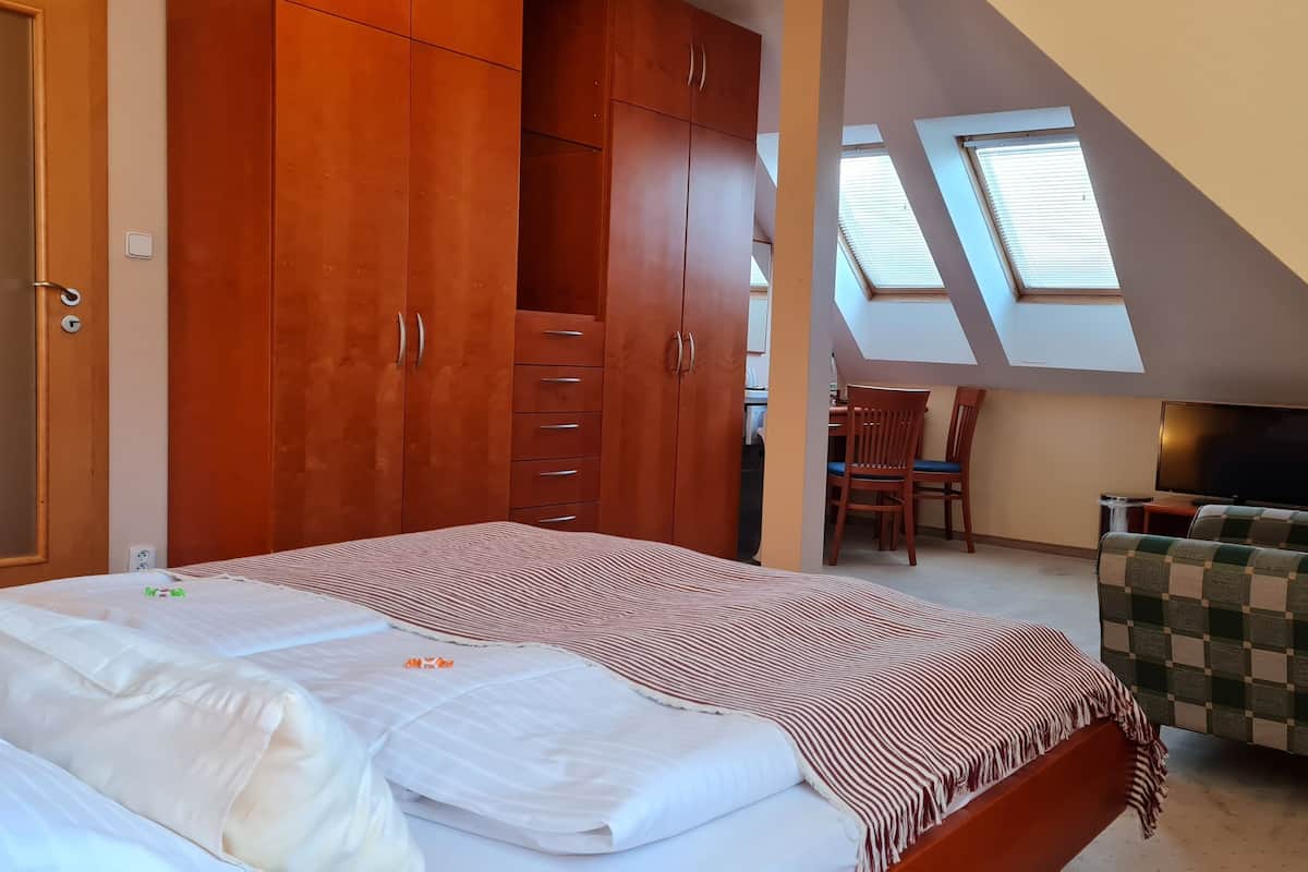 A bedroom with a bed, a wardrobe, a desk with a chair, and a TV.