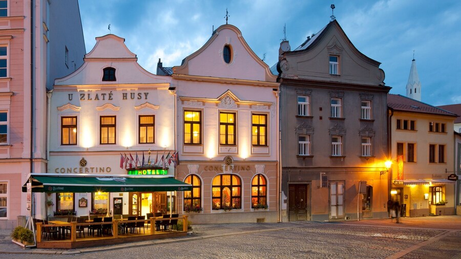 Hotel Concertino Zlatá Husa