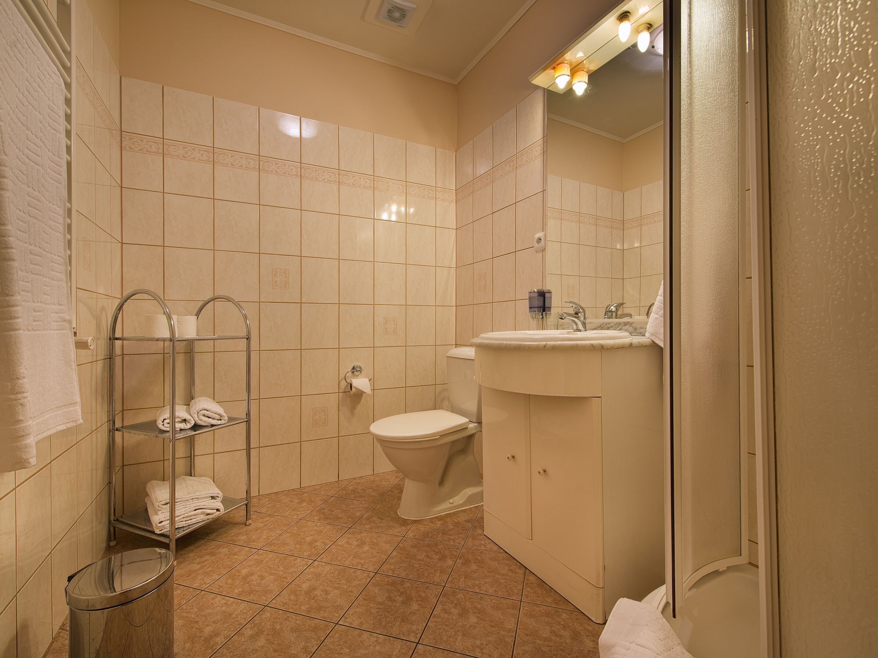 shower, free toiletries, hair dryer, towels