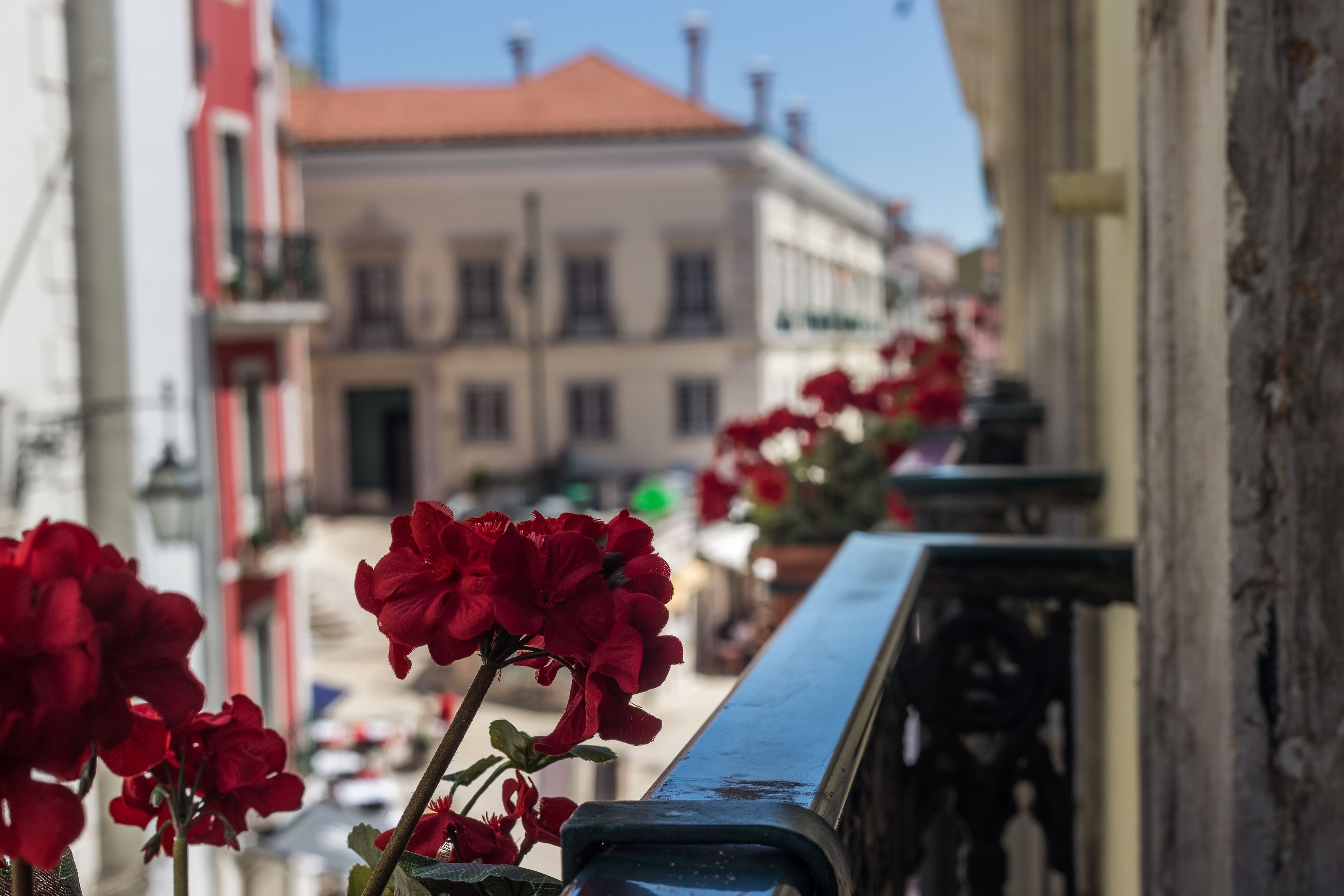 Foto - Hotel Florescente