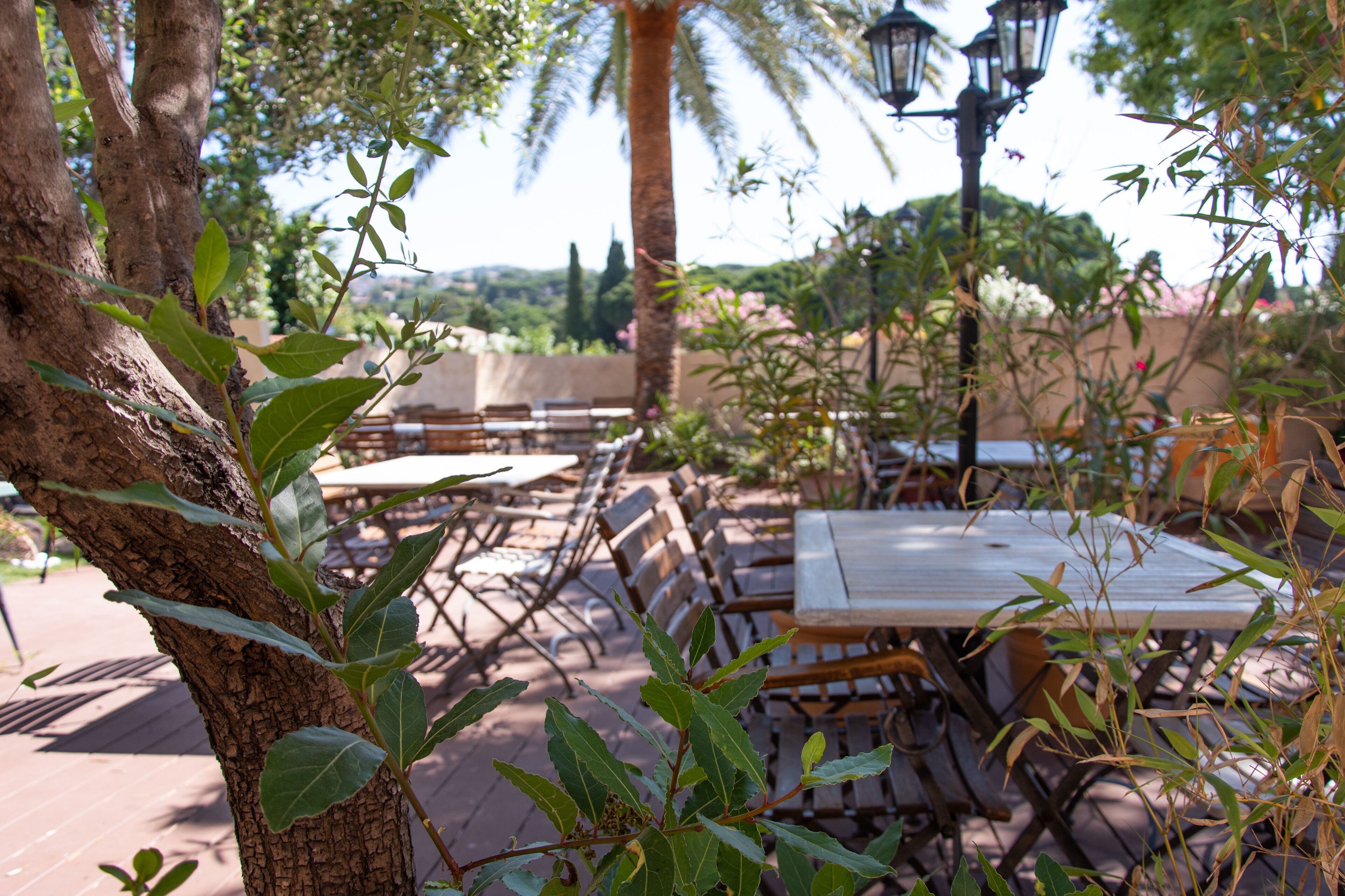 superior double room, 1 king bed, garden view | view from room