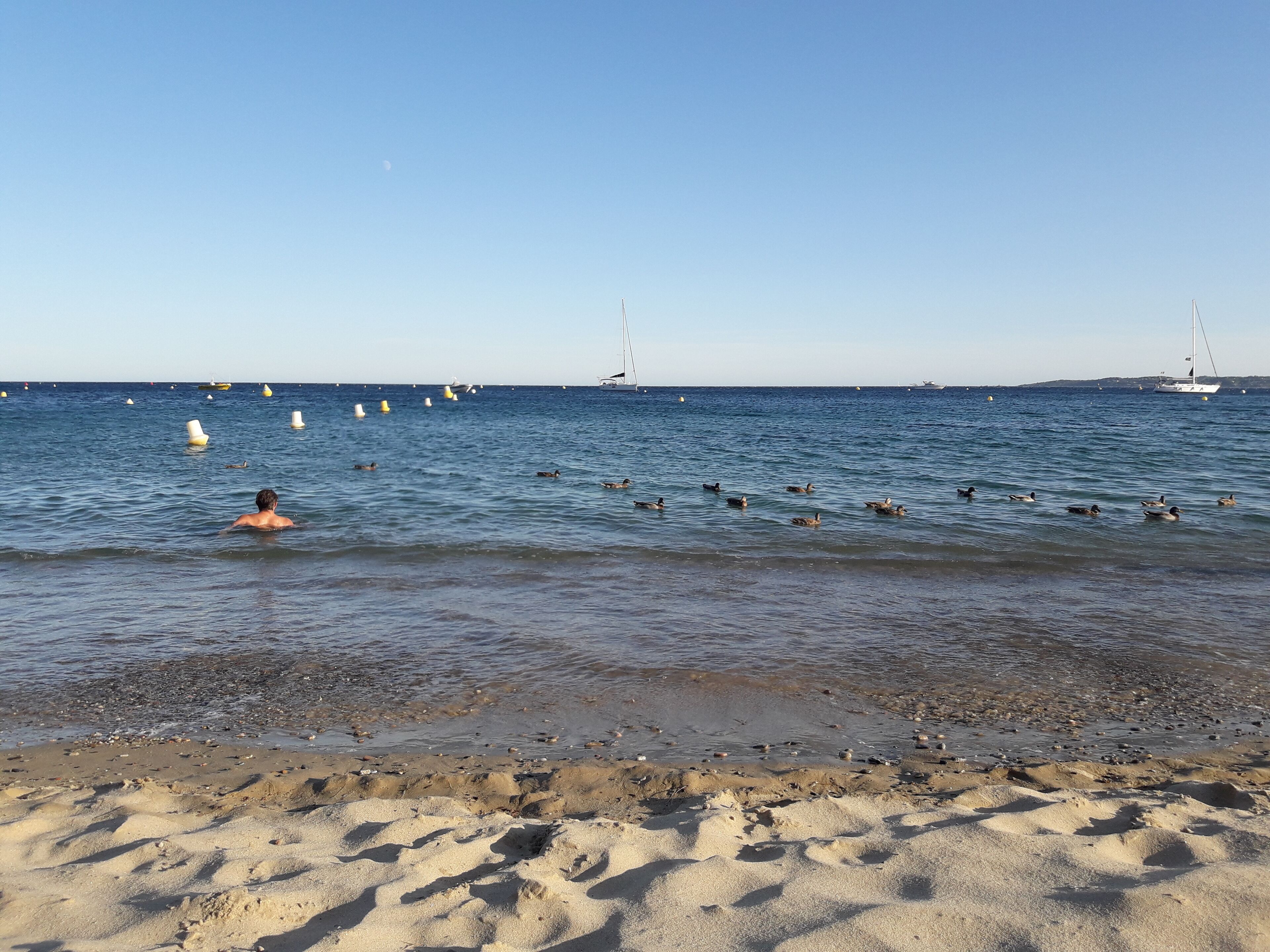 Sonnenschirme, Strandtücher