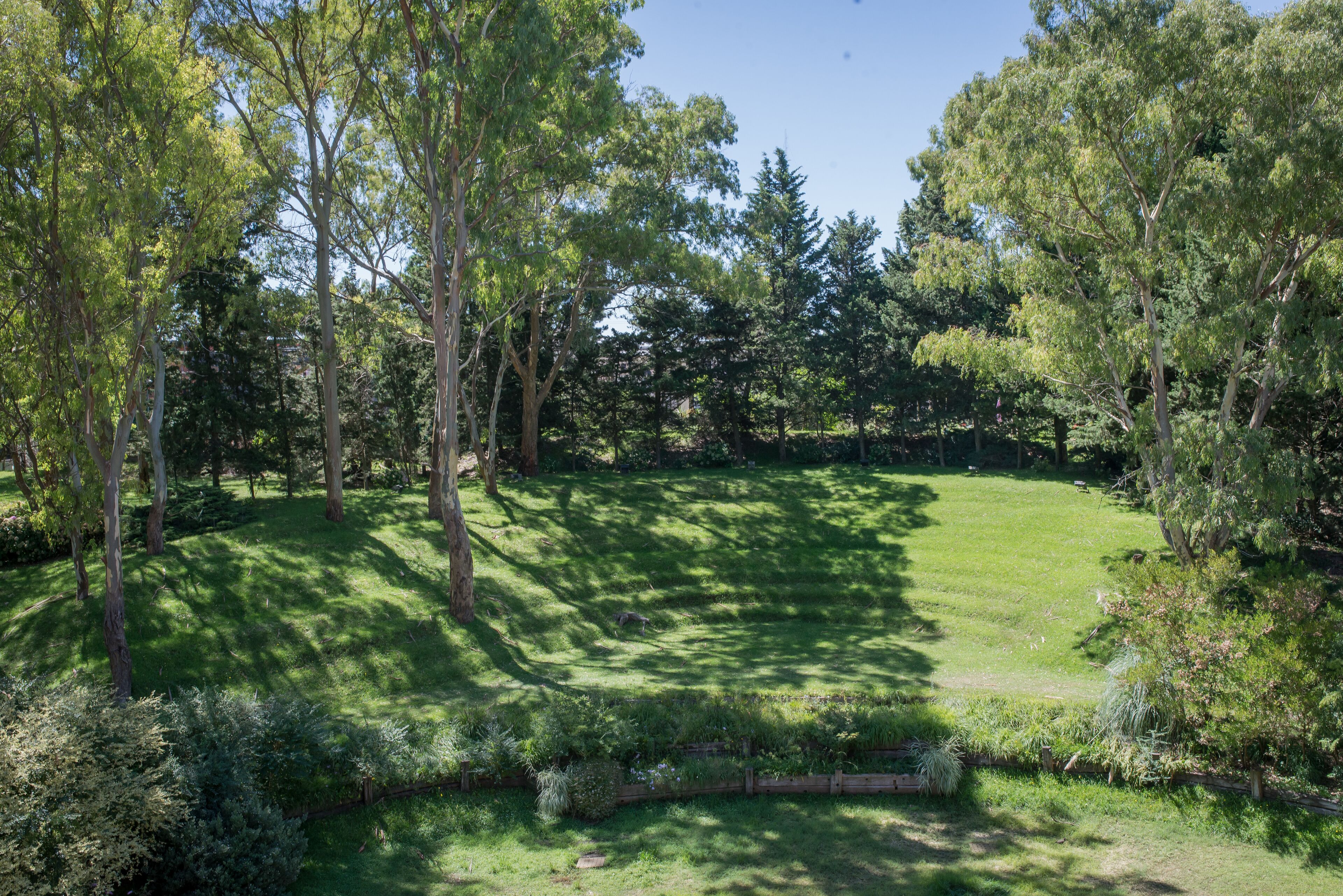 A lush green park with mature trees and a well-maintained lawn.