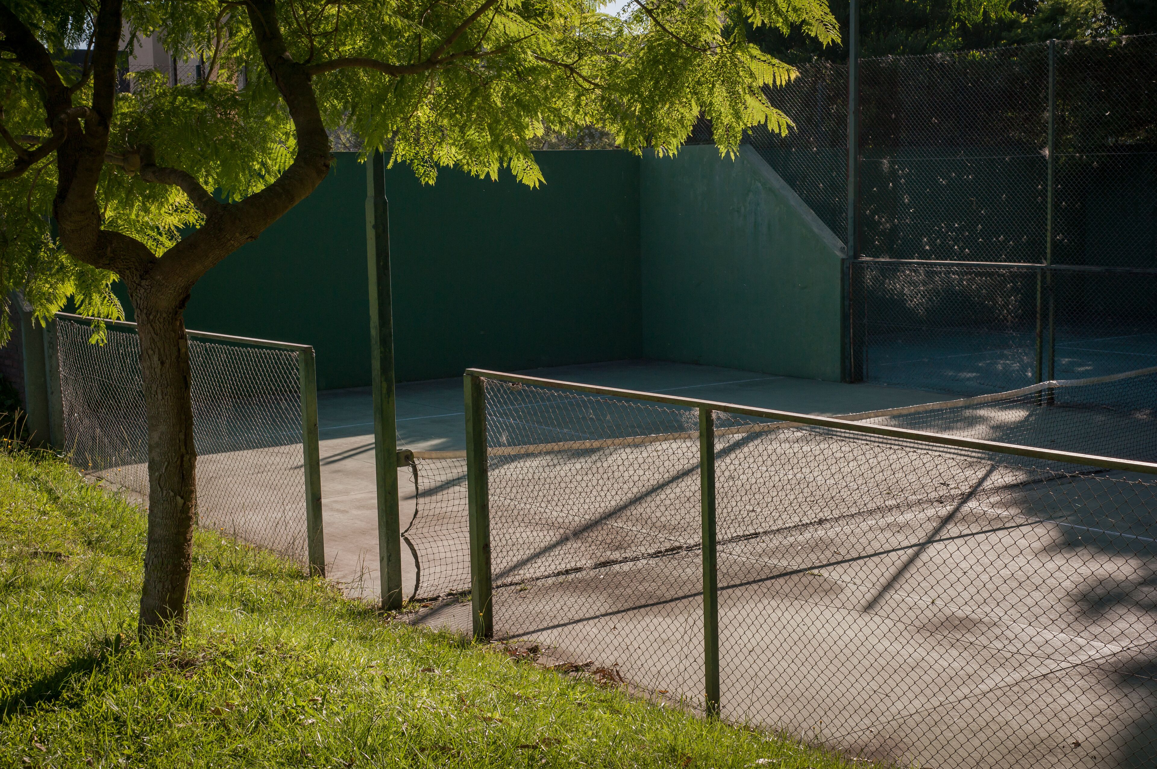 Een tennisbaan met een hek van gaas, een boom en een groene muur op de achtergrond.