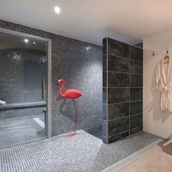 Behandelingskamers voor koppels, een sauna, een bubbelbad, een stoombad