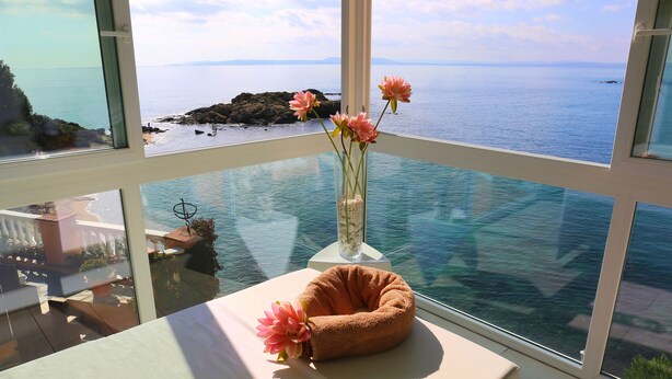 A balcony with a clear view of the sea and a rocky island, a vase with pink flowers, and a brown cushion. - Hotel Vistabella (Roses)