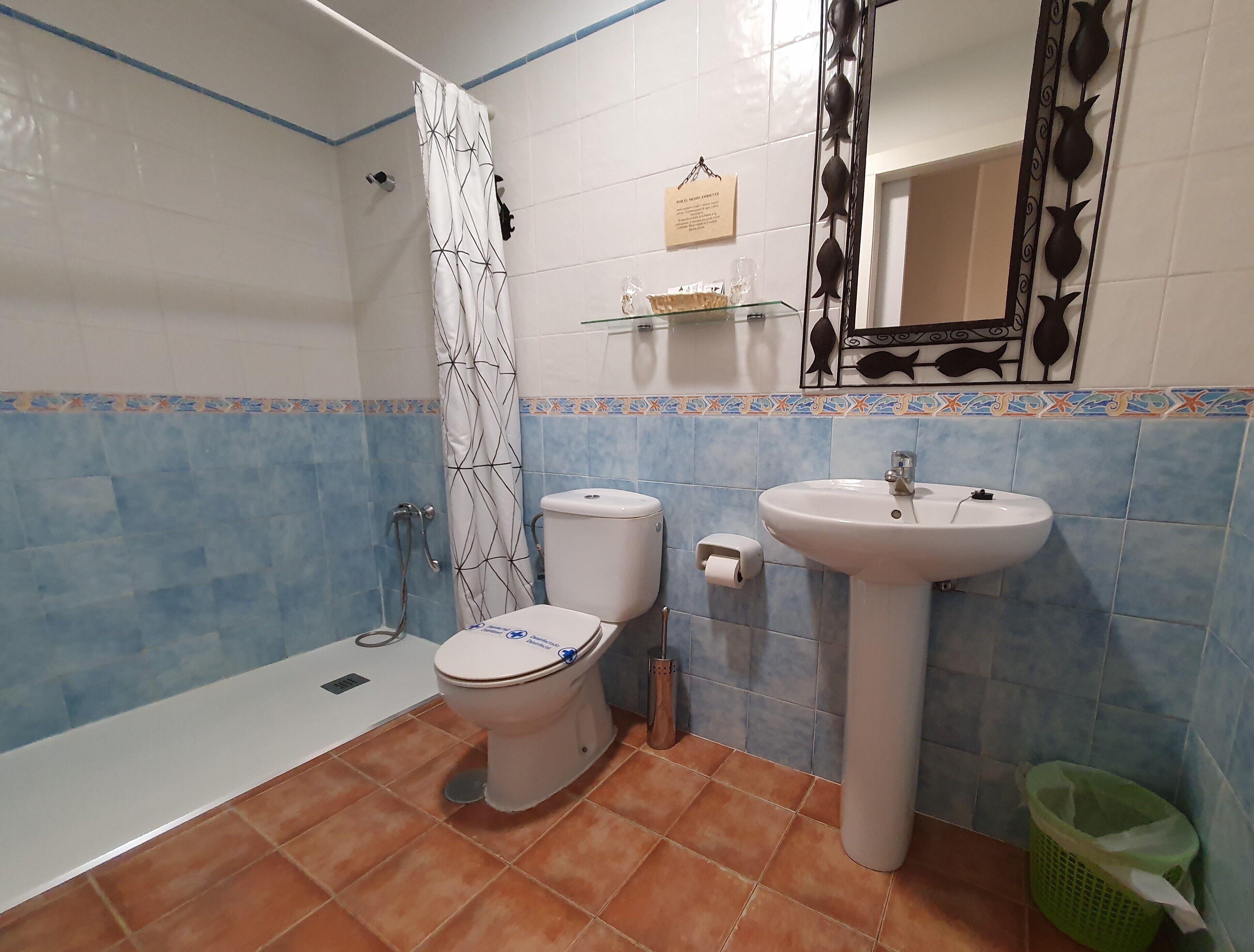 A bathroom with a shower, toilet, sink, and a decorative mirror.