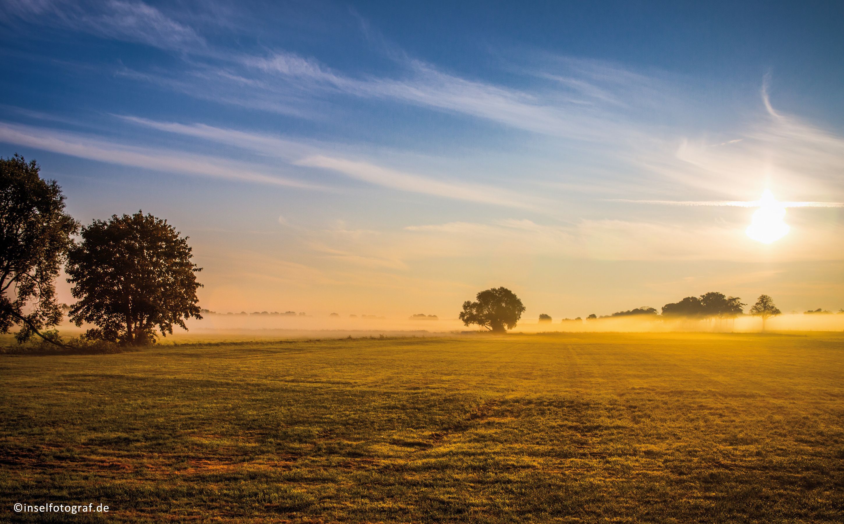 A vast open field with a single tree in the distance and a clear sky.