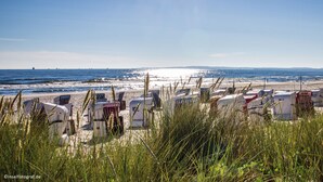 A beach with rows of beach chairs and umbrellas, a clear sky, and the ocean in the background. - Hotel zur Post – ein Rovell Hotel (Heringsdorf)