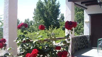 Detalle del exterior
