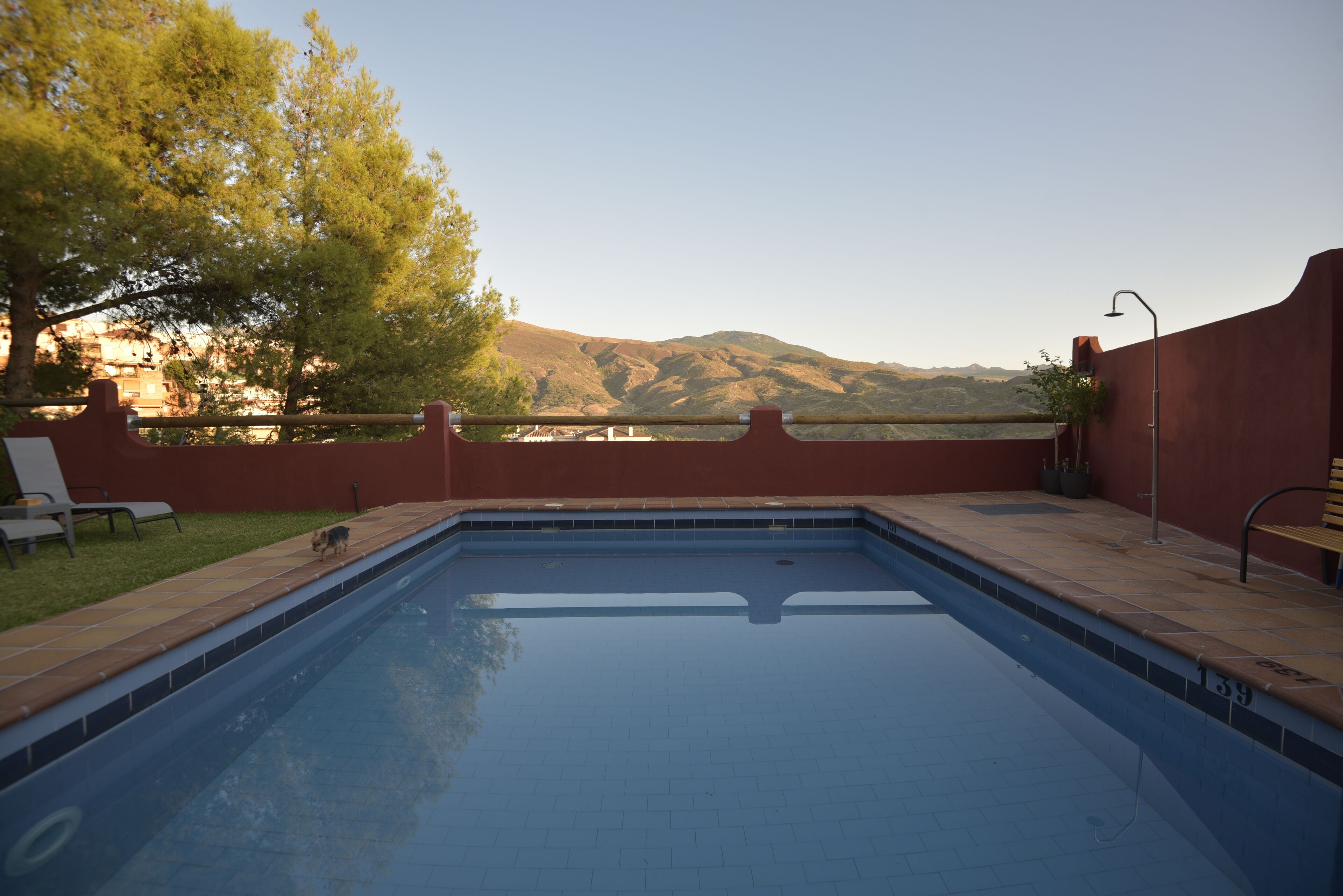 Une piscine rectangulaire dont les bords sont recouverts de carreaux, entourée d’un petit muret en briques et d’une terrasse en bois.