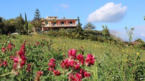 A house with a balcony, surrounded by a garden with various plants and flowers. - I Cardinali (Santa Marinella)