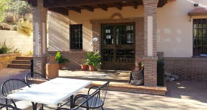 La Encina Centenaria