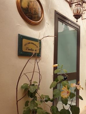 Terraza o patio