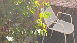 حديقة