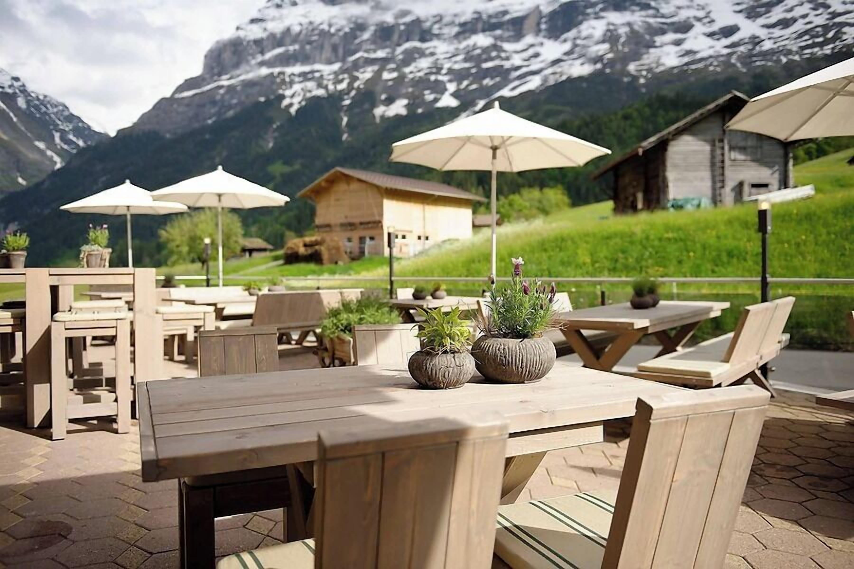 An outdoor seating area with wooden tables and chairs, umbrellas, and potted plants.