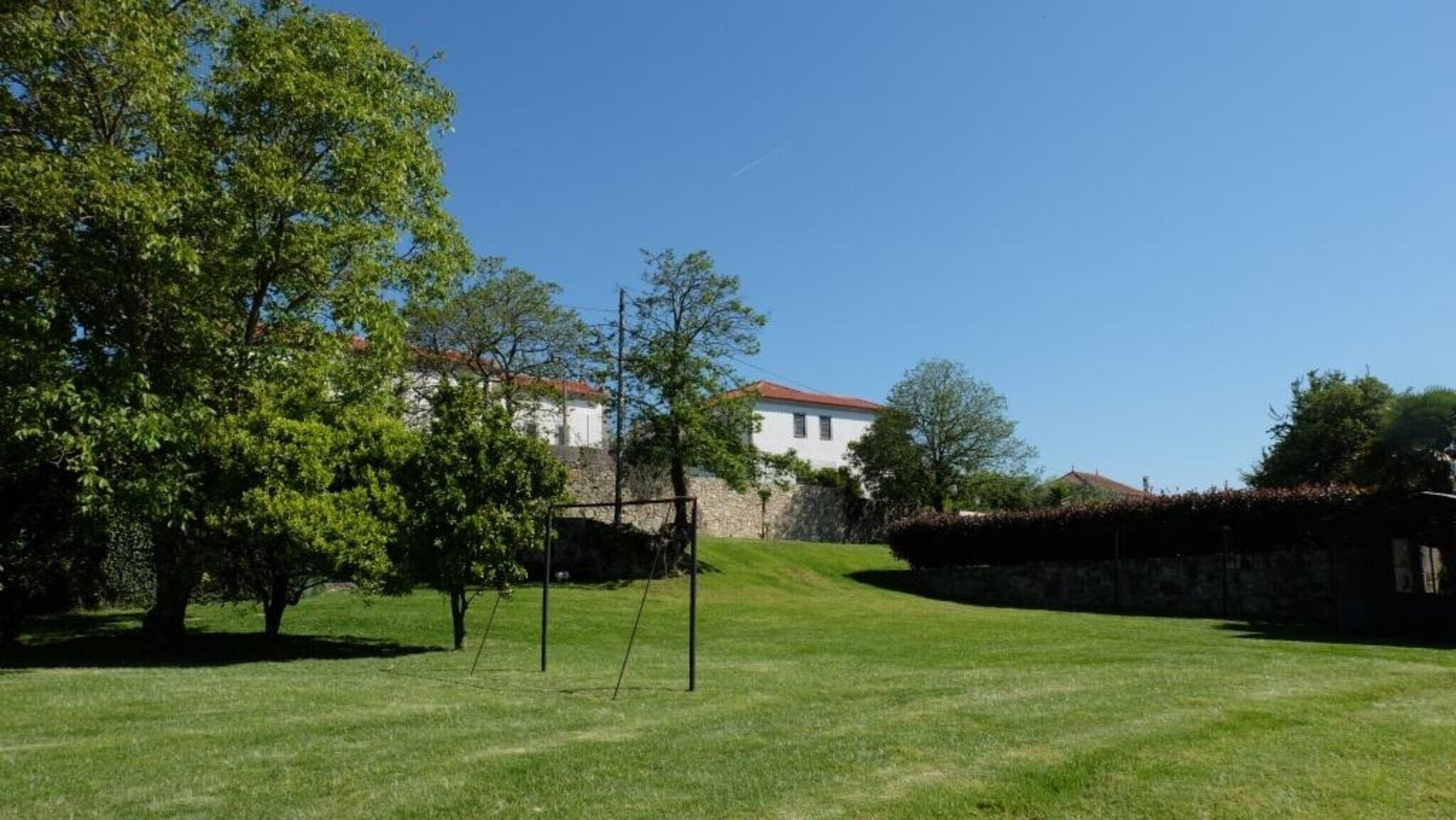 A grassy area with trees and a stone wall.