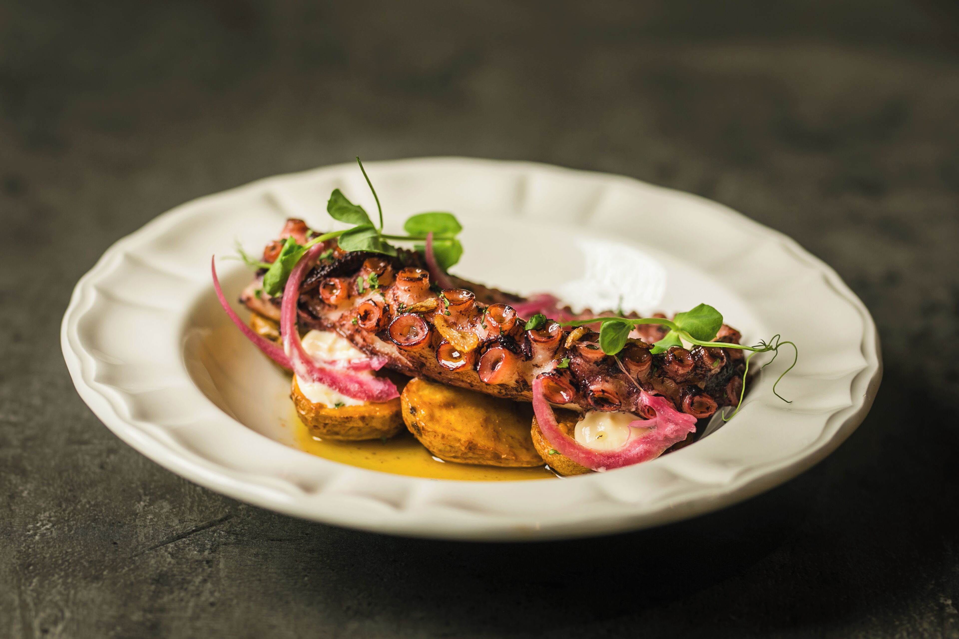 Un plato con comida, que parece ser pulpo y verduras, sobre una superficie oscura.