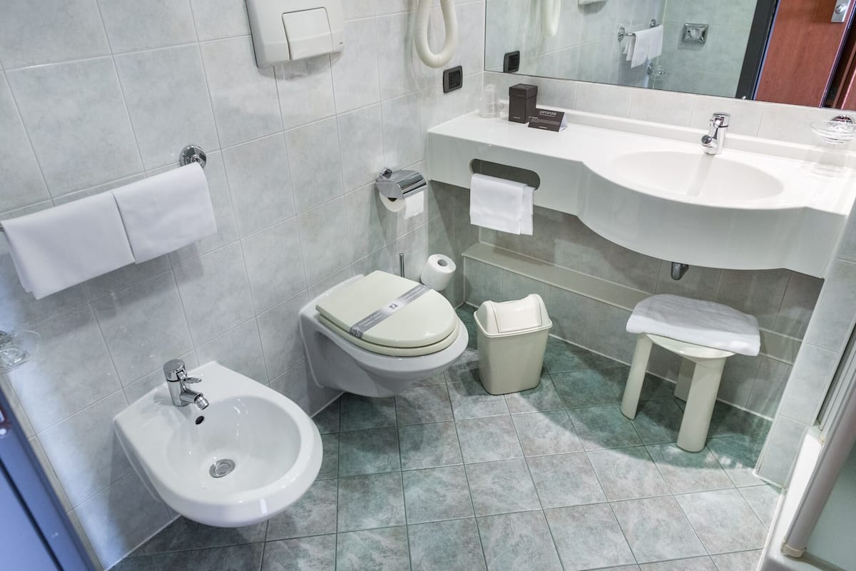 hydromassage showerhead, free toiletries, hair dryer, bidet