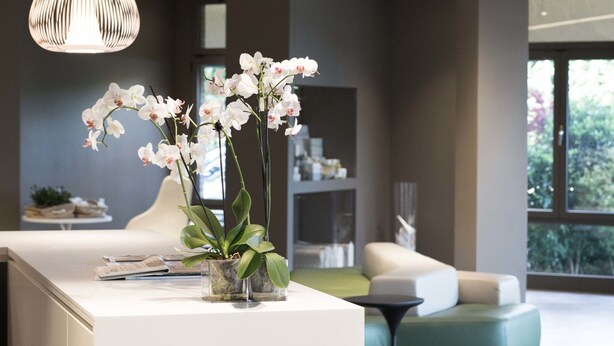 A modern reception area with a white reception desk, orchid plants, and a large window offering a view of greenery.