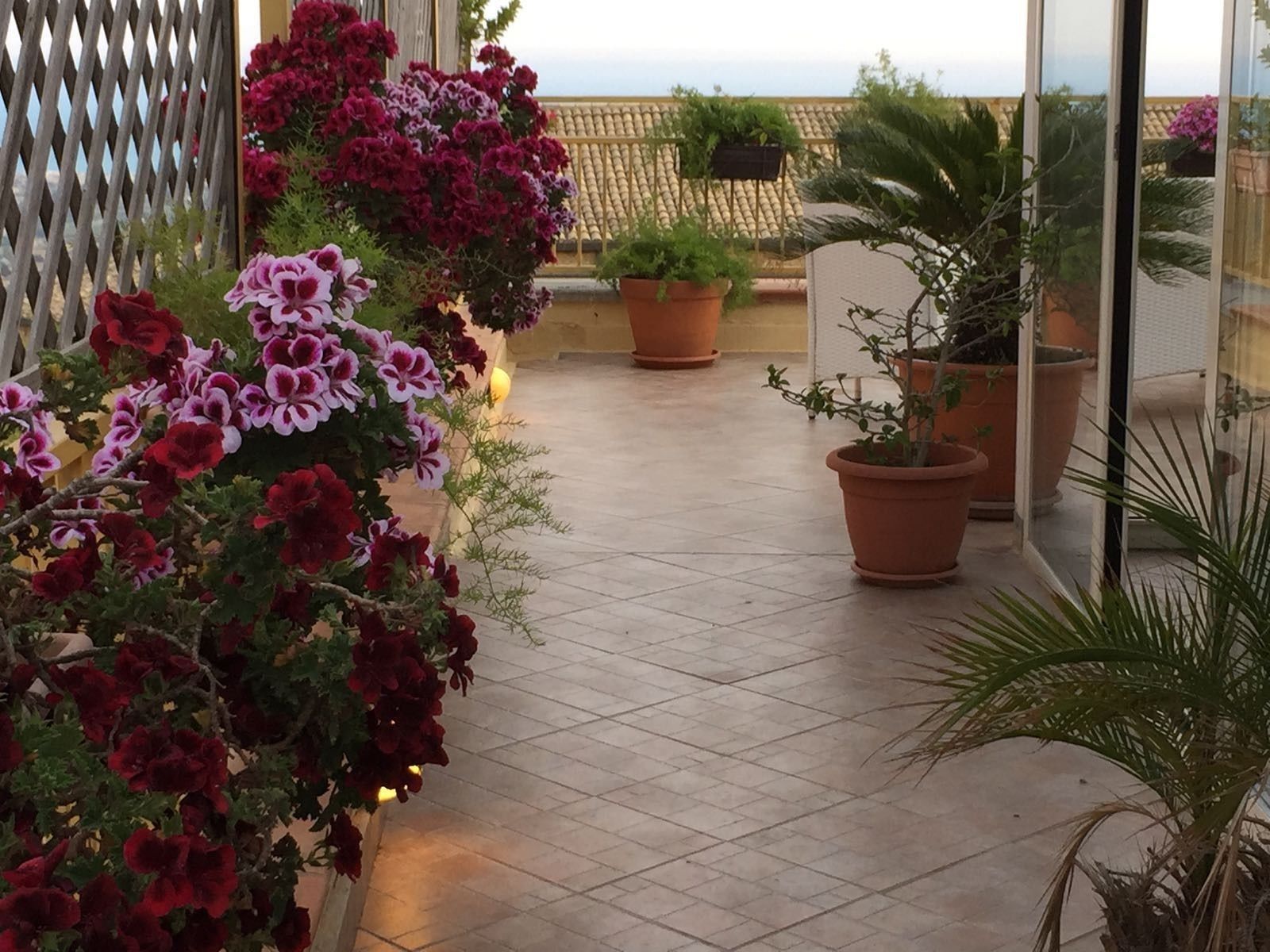 A balcony with potted plants and flowers, a tiled floor, and a view of the sky.