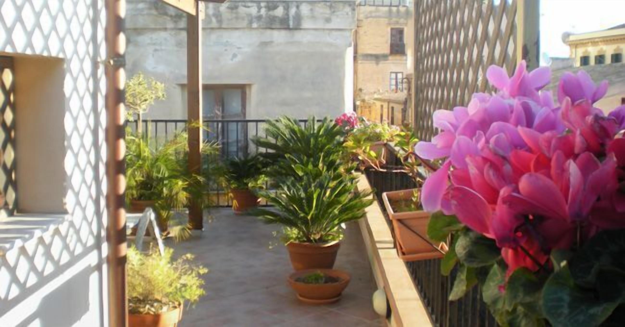 A balcony with potted plants and flowers, a metal railing, and a building in the background.