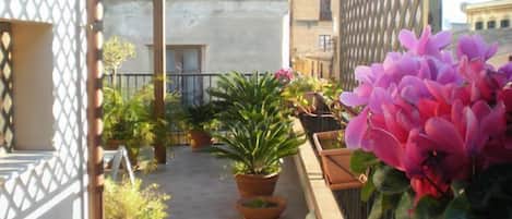 A balcony with potted plants and flowers, a metal railing, and a building in the background.