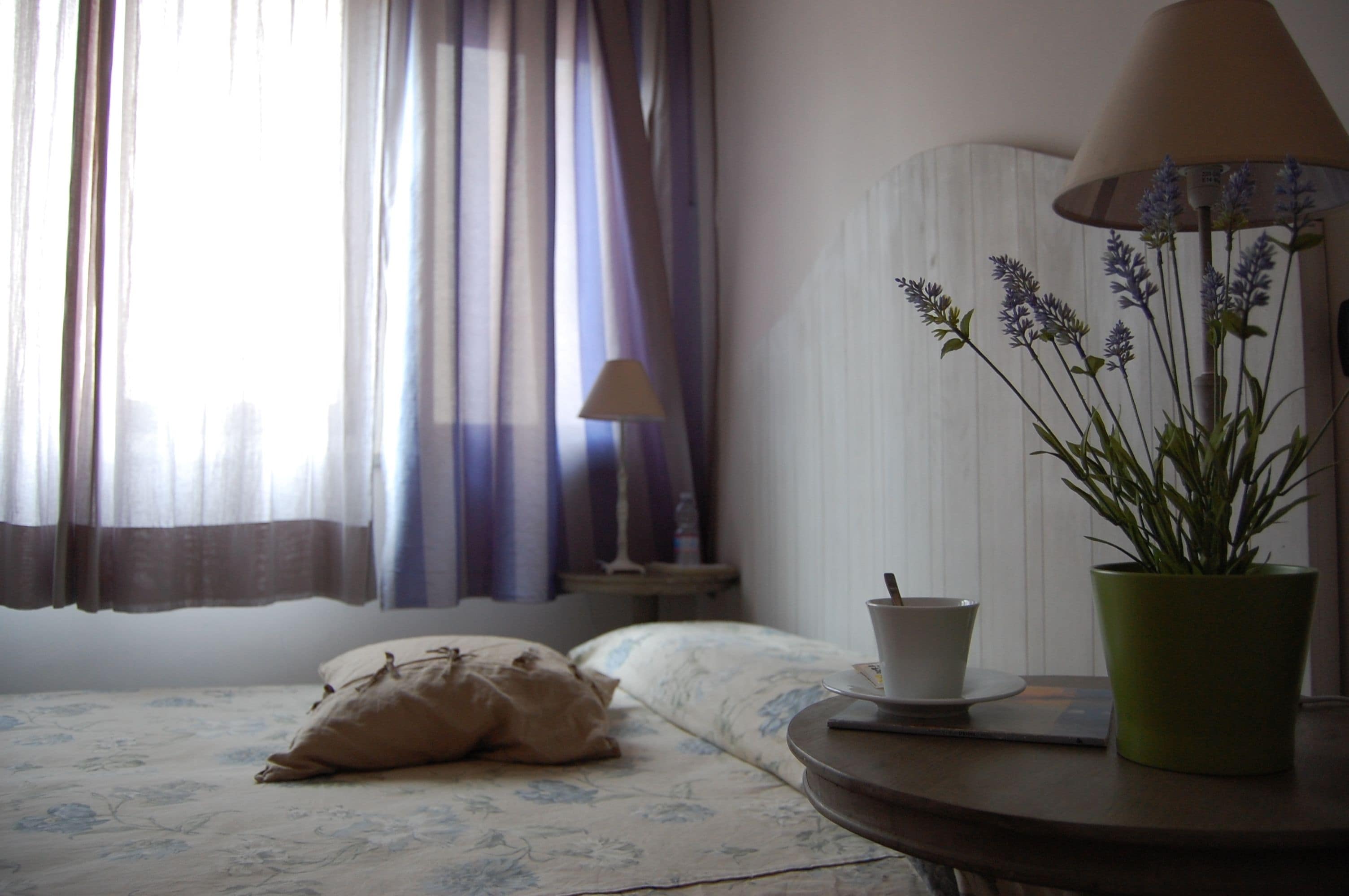 A hotel room with a bed, a bedside table with a lamp and a potted plant, and a window with curtains.
