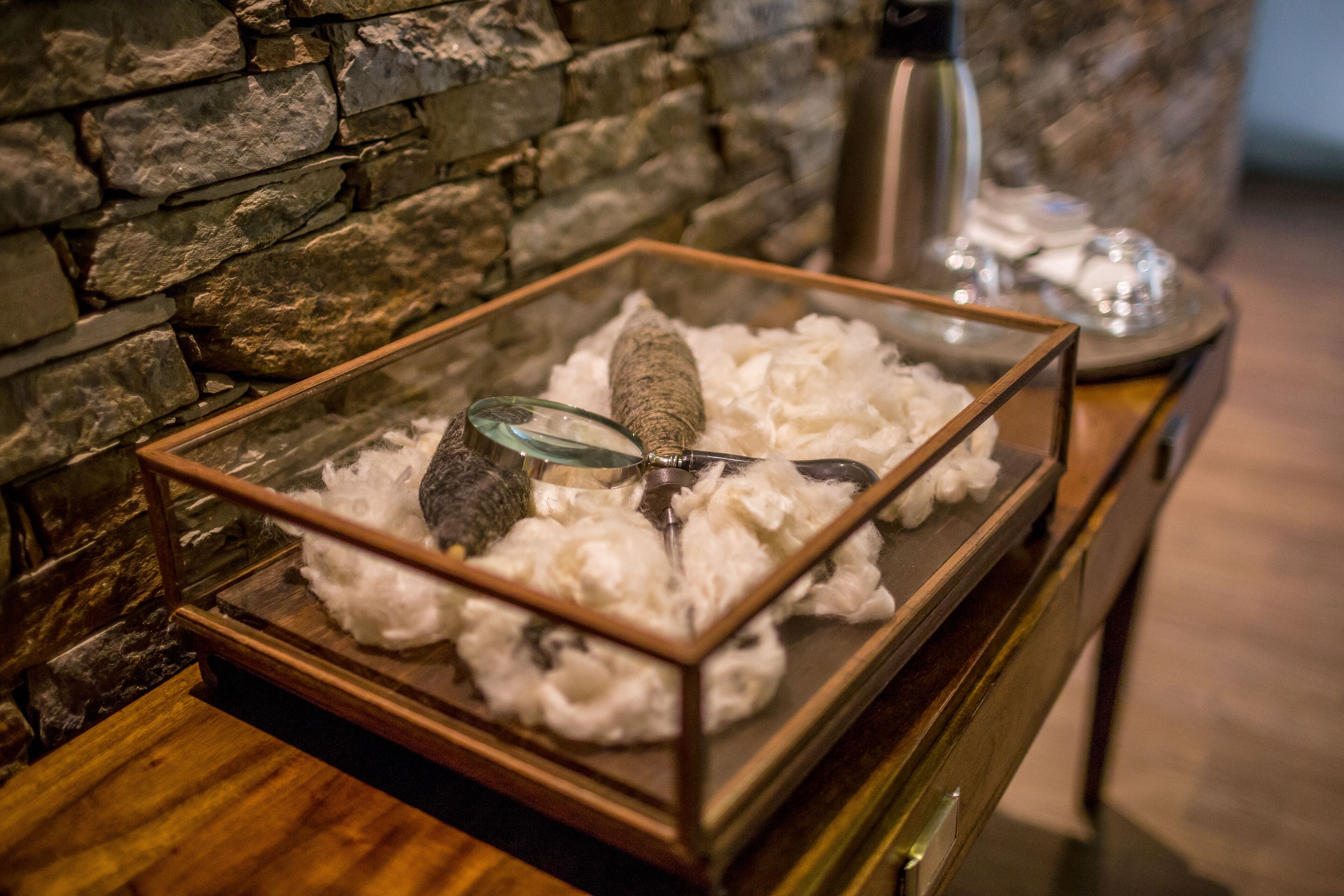 Une vitrine en verre contenant un matériau blanc et duveteux ainsi qu’un objet ressemblant à de la pierre.