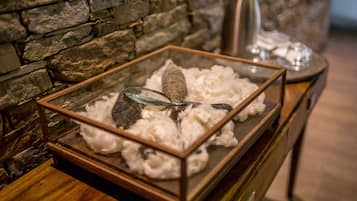Une vitrine en verre contenant un matériau blanc et duveteux ainsi qu’un objet ressemblant à de la pierre.