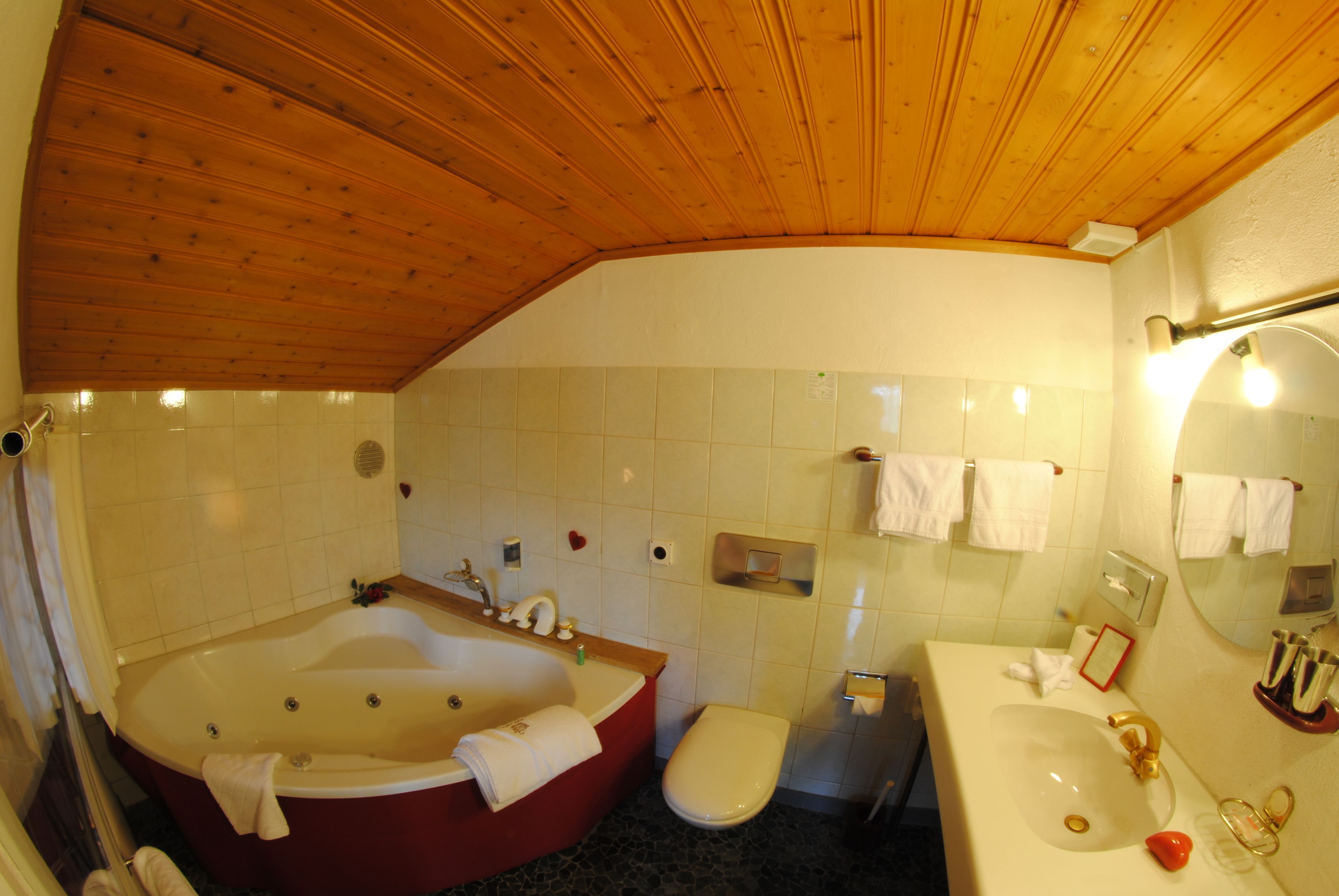 standard double room, jetted tub, mountain view | bathroom | hair dryer, bathrobes, towels