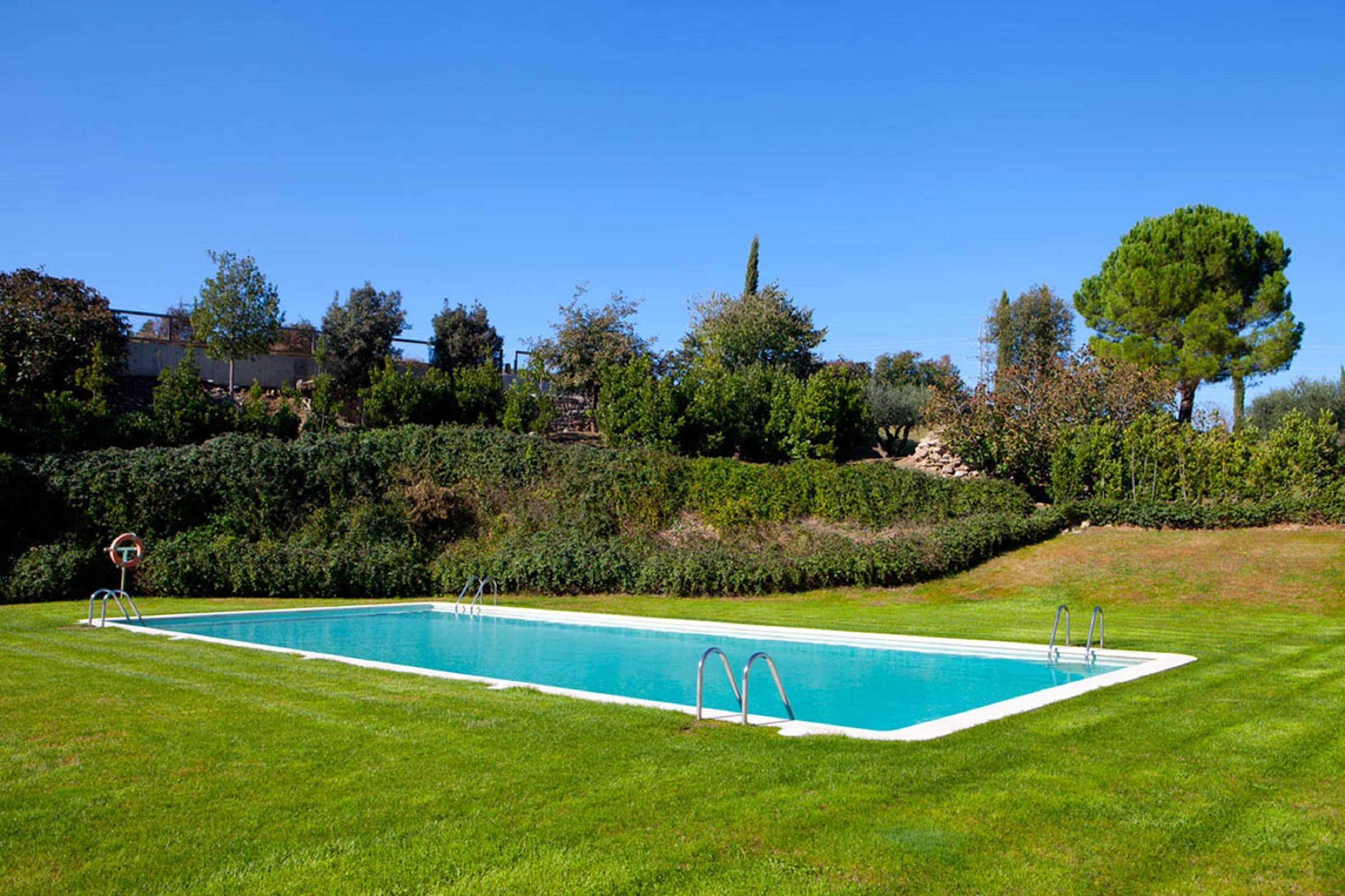 A rectangular swimming pool with two ladders on one side, surrounded by well-maintained grass and various trees.