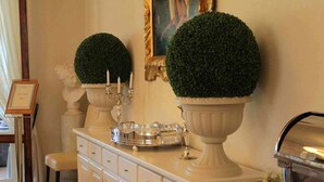 Una habitació ben il·luminada i elegant, amb un gran mirall, dues plantes topiàries esfèriques, una bandeja amb vetrereria i un quadre encimbellat a la paret.
